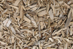 biomass boilers Penybontfawr